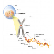 DNA Gene Genome Duvet Cover Set