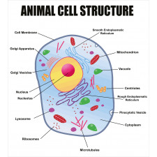 Animal Cell Study Duvet Cover Set