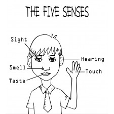 5 Senses on Boy Duvet Cover Set