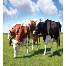 Cows Grazing on Pasture Duvet Cover Set