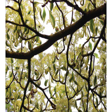 Close up Leafy Branches Photo Duvet Cover Set