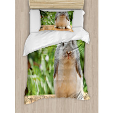 Photo of Holland Lop Rabbit Duvet Cover Set