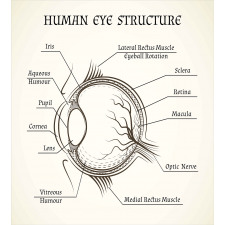 Structure of the Human Eye Duvet Cover Set