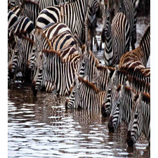 Zebra Wildebeest Herd Duvet Cover Set