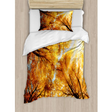 Autumn Sunbeams Forest Duvet Cover Set