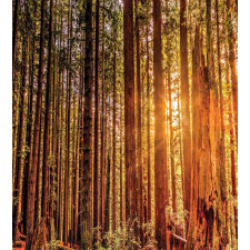 Redwoods Forestry Duvet Cover Set