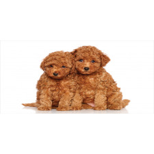 Puppies Cozily Posing Photo Pencil Pen Holder