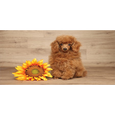 Sunflower on Wooden Backdrop Pencil Pen Holder