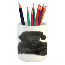 Fluffy Purebred Animal Love Pencil Pen Holder