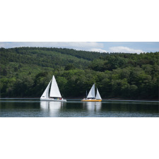 Sailboats on a Lake Pencil Pen Holder