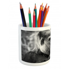 Close up Shot Ape Animal Pencil Pen Holder