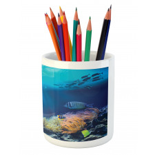 Various Fish Nautical Pencil Pen Holder