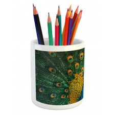 Portrait of the Peacock Pencil Pen Holder