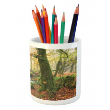 Misty Woods Cornwall Pencil Pen Holder