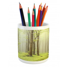 Misty Beech Forest Photo Pencil Pen Holder