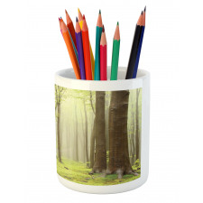 Misty Beech Forest Photo Pencil Pen Holder