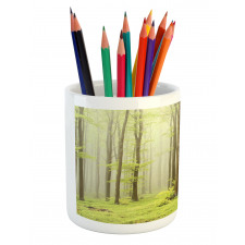 Misty Beech Forest Photo Pencil Pen Holder