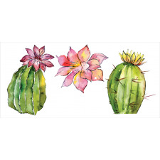 Succulents Pencil Pen Holder