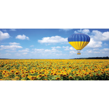 Sunflower Fields Pencil Pen Holder