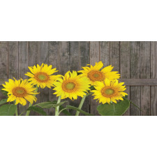 Helianthus Sunflowers Pencil Pen Holder