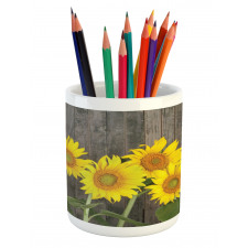 Helianthus Sunflowers Pencil Pen Holder