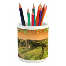 Bottle Grapes Sunset Pencil Pen Holder