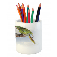 2 Parrot Macaw Bird Pencil Pen Holder