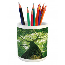 Leaves Tree Branches Pencil Pen Holder