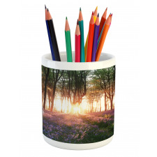 Sunrise Woods in Spring Pencil Pen Holder