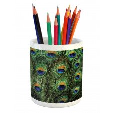 Exotic Animal Feathers Pencil Pen Holder