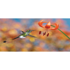 Racket Tail Lily Nectar Pencil Pen Holder