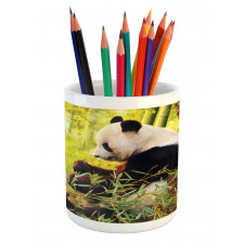 Panda Sitting in Forest Pencil Pen Holder