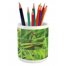 Ladybug over Fresh Grass Pencil Pen Holder