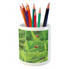 Ladybug over Fresh Grass Pencil Pen Holder