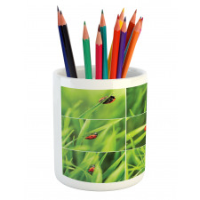 Ladybug over Fresh Grass Pencil Pen Holder