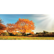 Maple Tree in Autumn Pencil Pen Holder