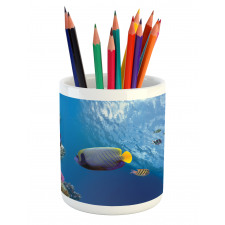 Underwater Fish Sea Pencil Pen Holder