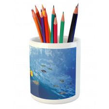 Underwater Fish Sea Pencil Pen Holder