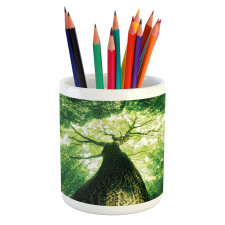 Summer Rays in Wild Pencil Pen Holder