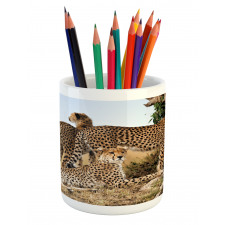 Safari Animal Cheetahs Pencil Pen Holder