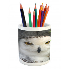 Magician Pet White Owl Pencil Pen Holder