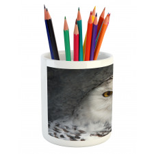 Magician Pet White Owl Pencil Pen Holder