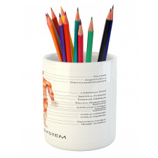 Biology Muscle System Pencil Pen Holder