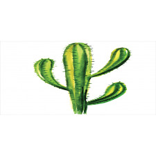 Mexican Cartoon Cactus Pencil Pen Holder