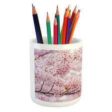 Vibrant Colored Striped Pencil Pen Holder