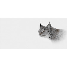 Wild Lynx Norway Pencil Pen Holder