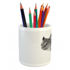 Wild Lynx Norway Pencil Pen Holder