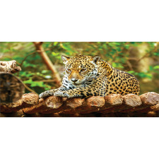 Jaguar on Wood Wild Feline Pencil Pen Holder