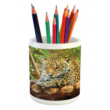 Jaguar on Wood Wild Feline Pencil Pen Holder