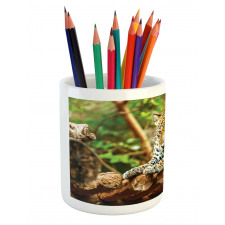 Jaguar on Wood Wild Feline Pencil Pen Holder